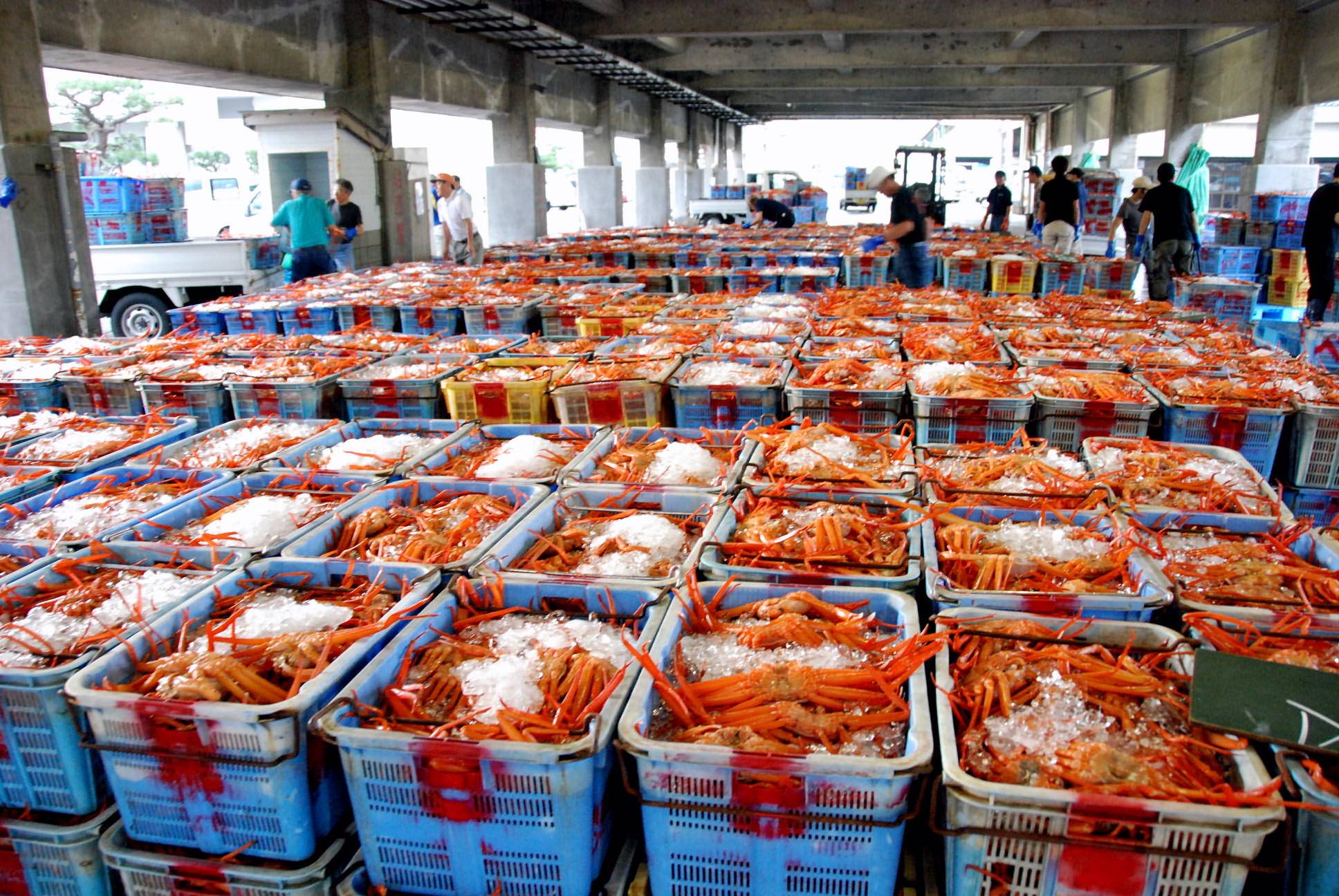Abashiri Seafood Market